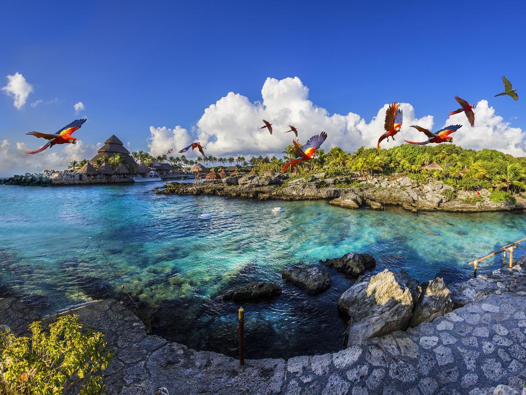 Occidental At Xcaret Destination Hotel Xcaret Park Luaran gambar Parrots at Xel-Há